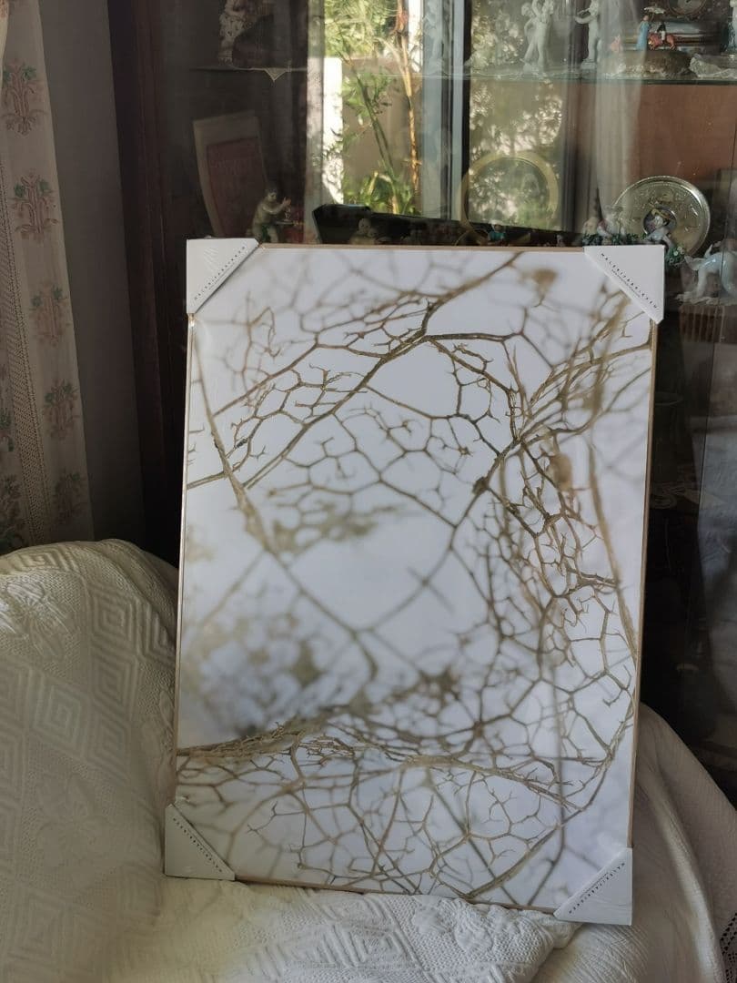 未開封デンマーク アートパネル マレリファブリケン 白木オーク リーフスケルトン MALERIFABRIKKEN（マレリファブリケン）ポスターボード Art Piece2 50