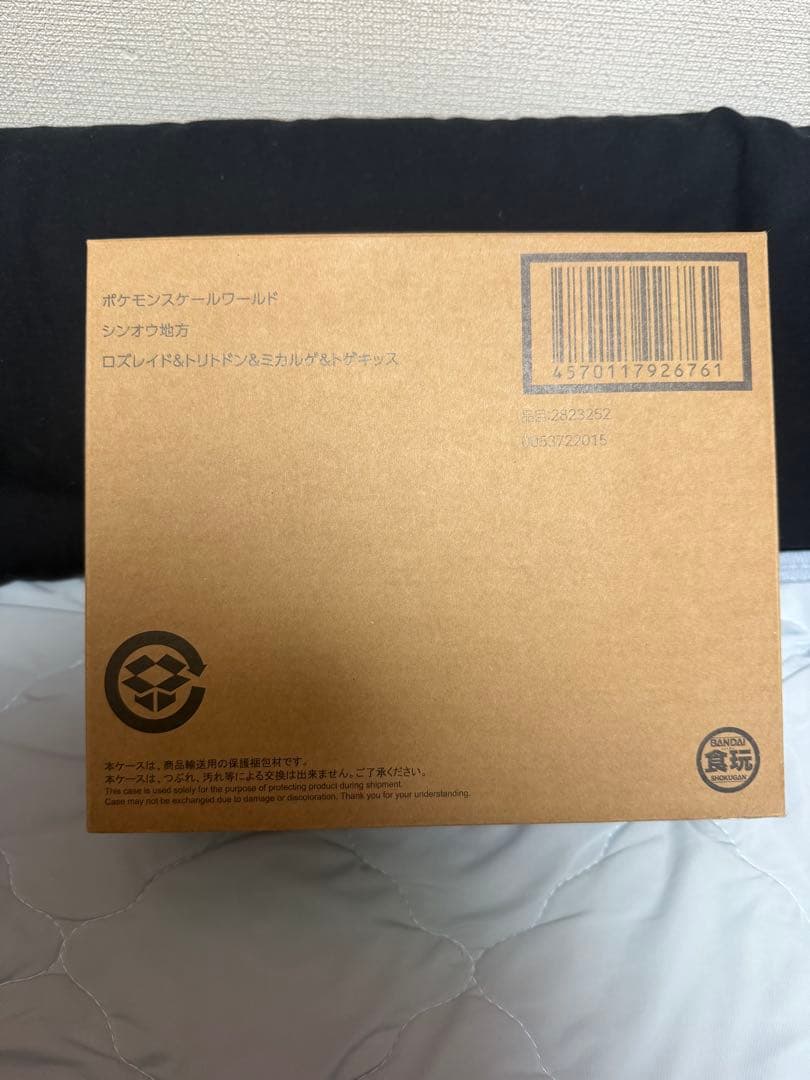 ポケモンスケールワールド シンオウ地方 シロナ