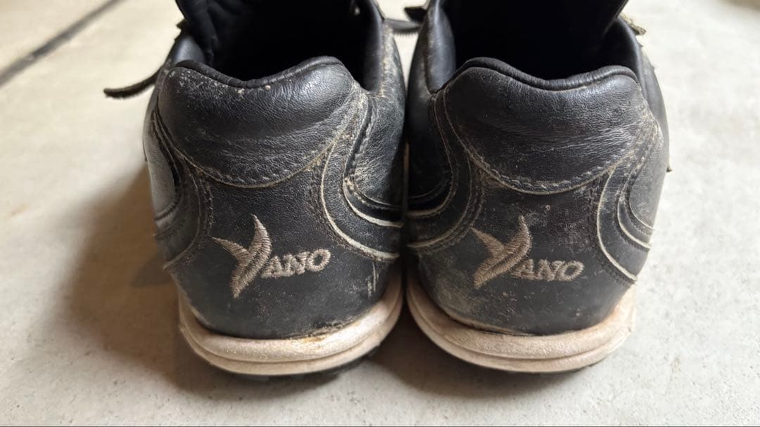 阪神タイガース　矢野輝弘さん トレーニングシューズ ブラック 阪神・矢野監督がシーズン中にメンタル講習 選手から「練習時間が