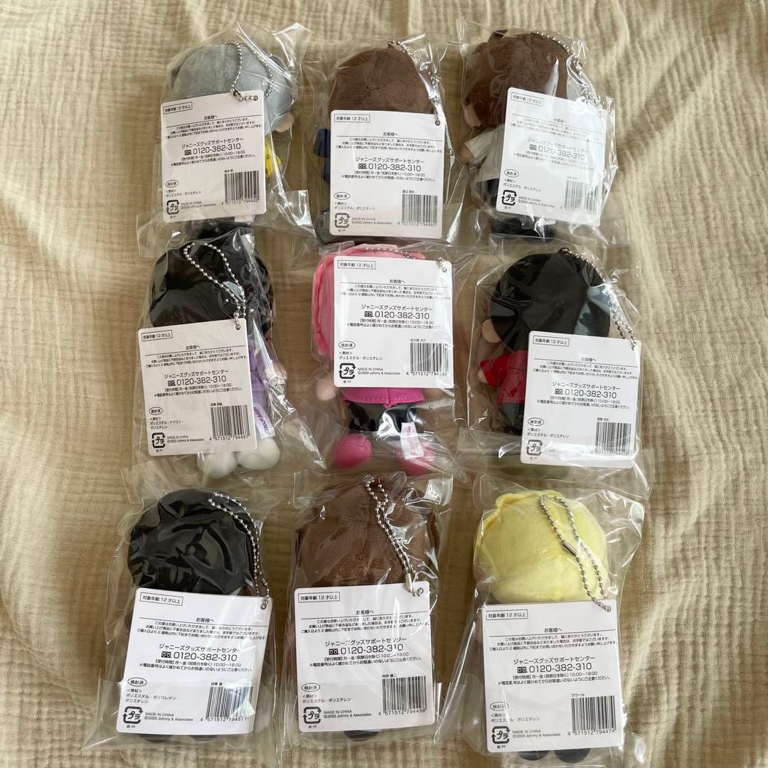 SnowMan すのチル ぬいぐるみ 9人 全員セット - メルカリ