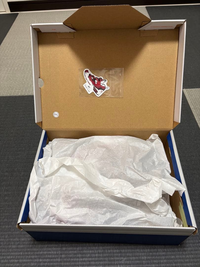 Reebok PUMPFURY ポンプフューリー 稲葉浩志 MAGMA 23cm