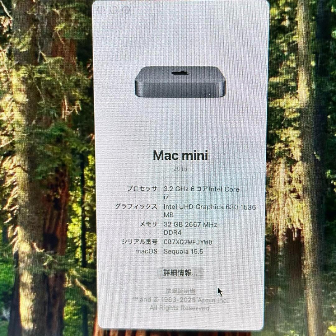 イ*ン様 【美品】Mac mini 2018 i7 6コア64GB SSD2TB - メルカリ