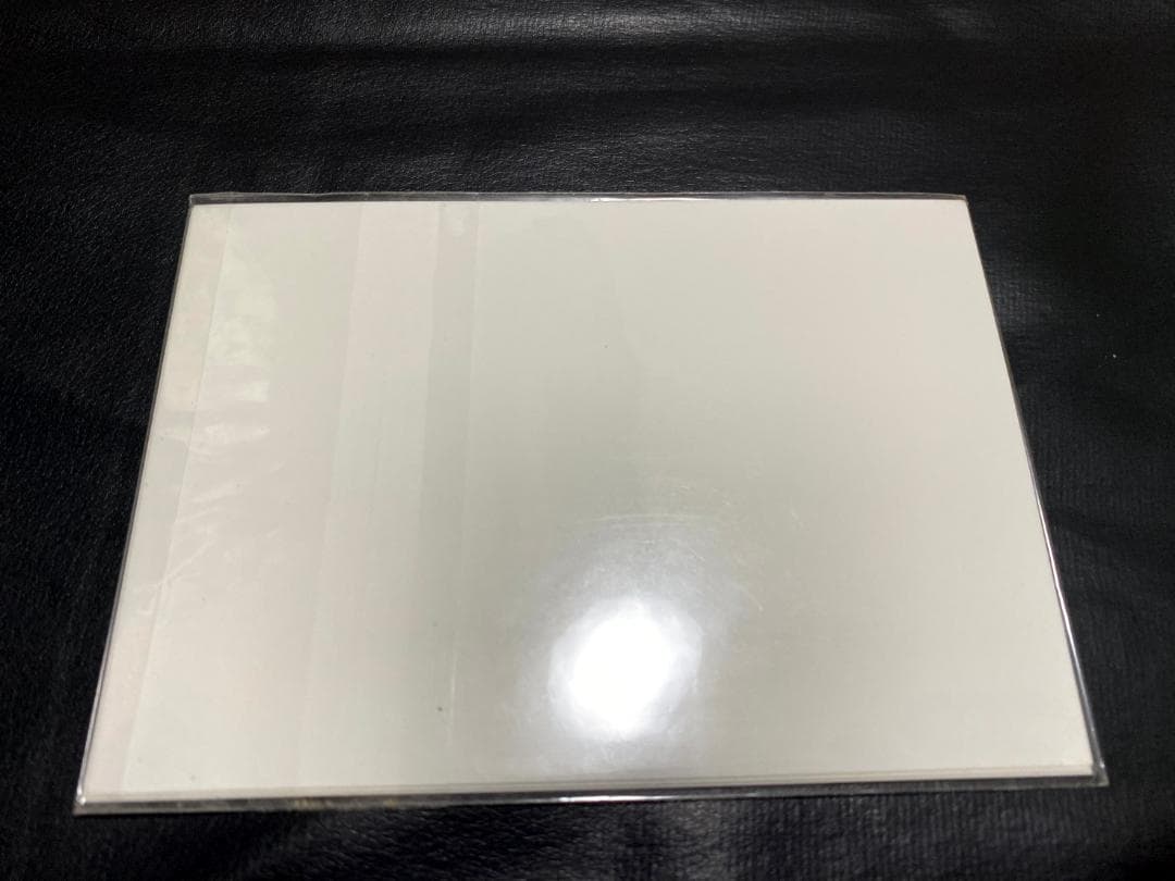 【未開封品】BAND-MAID MISA 生写真
