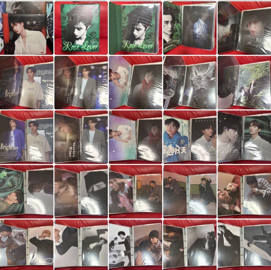 王一博ポスターカード　50枚　レア収納冊付き