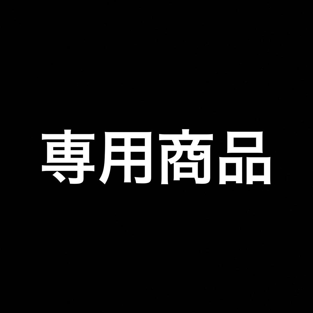 nさん専用 Z-DRAGON】73502 製品制電ストレッチノータックカーゴパンツ[2024年