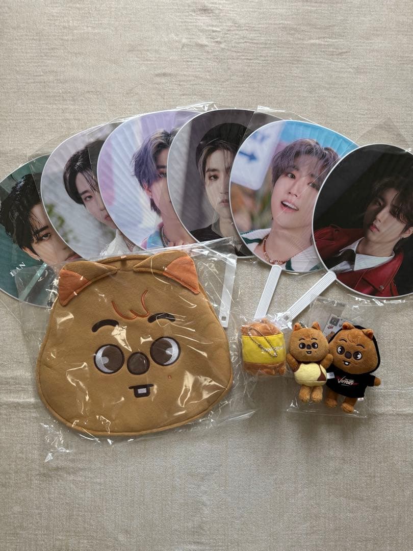 straykids スキズ　ハンジソン　まとめ売り