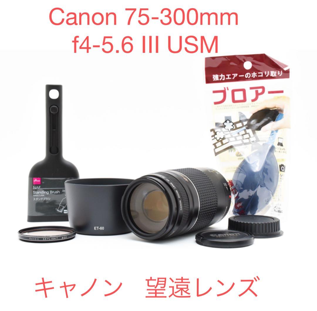 デジタル一眼レフカメラ/ 望遠レンズ /Canon EF75-300 Ⅲ USM CANON EF75-300mm f4-5.6 iii レビュー:コスパ抜群の望遠ズームレンズ