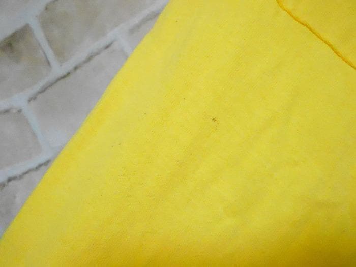 GOING STEADY ゴーイング・ステディ Tシャツ ②