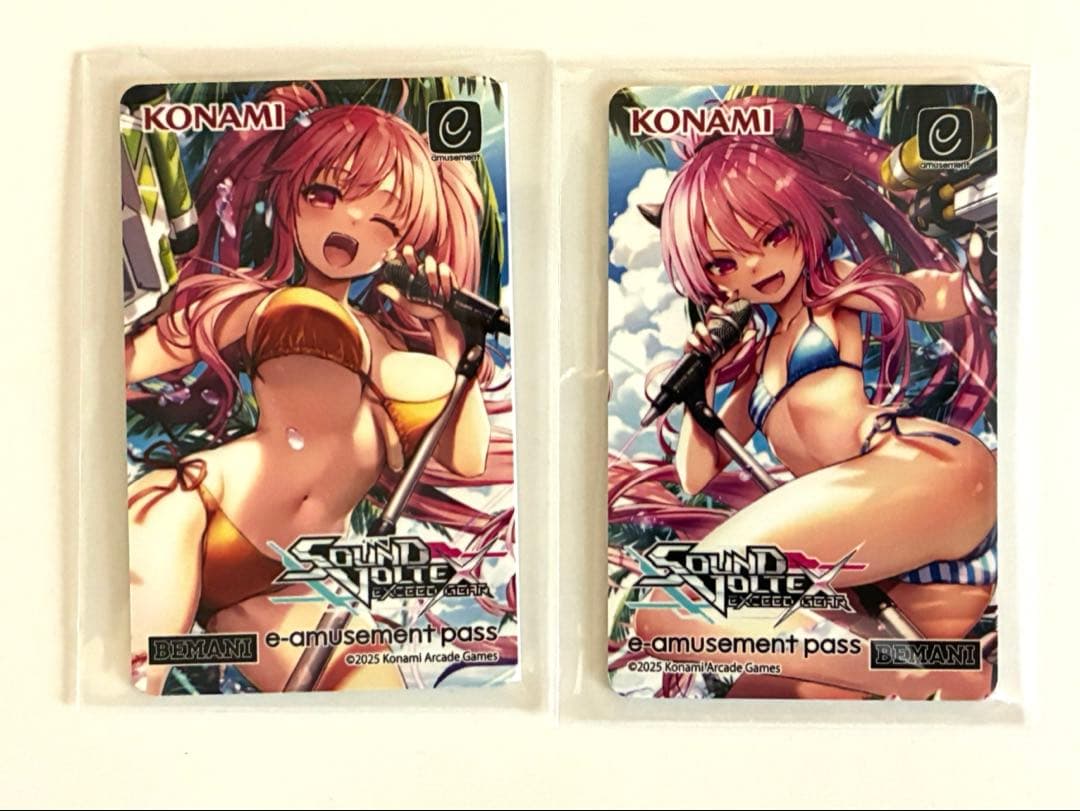 SOUND VOLTEXくじ e-amusement passカード 2枚セット - メルカリ