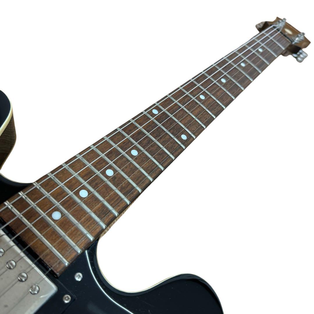 Epiphone エピフォン Dot EB 純正ソフトケース付き