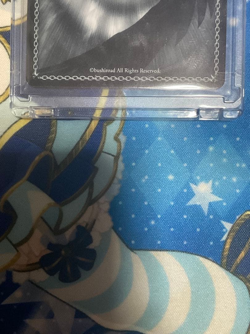catch you catch me 木之本桜 pr 敢闘賞
