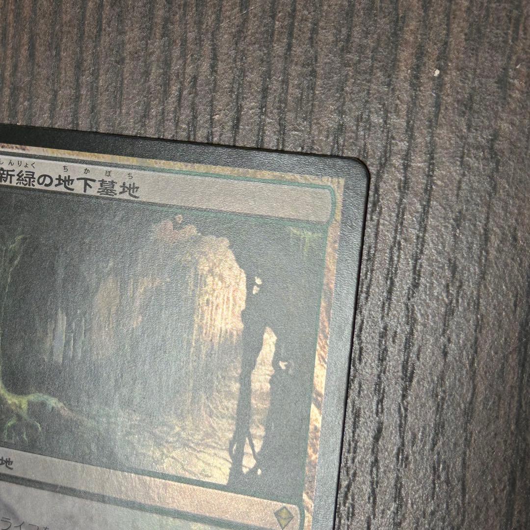 【日本語Foil】《新緑の地下墓地/Verdant Catacombs》ZEN