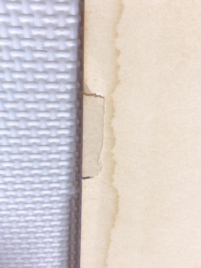 ☆野村克也 感謝状 賞状 プロ野球 非売品 経年劣化 破れあり テレビ