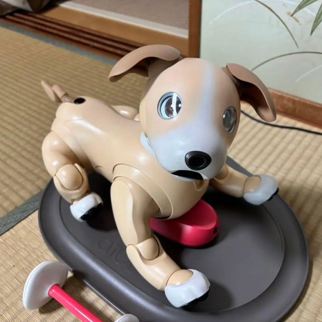 アイボ aibo きなこエディション aibo きなこ エディション | aibo