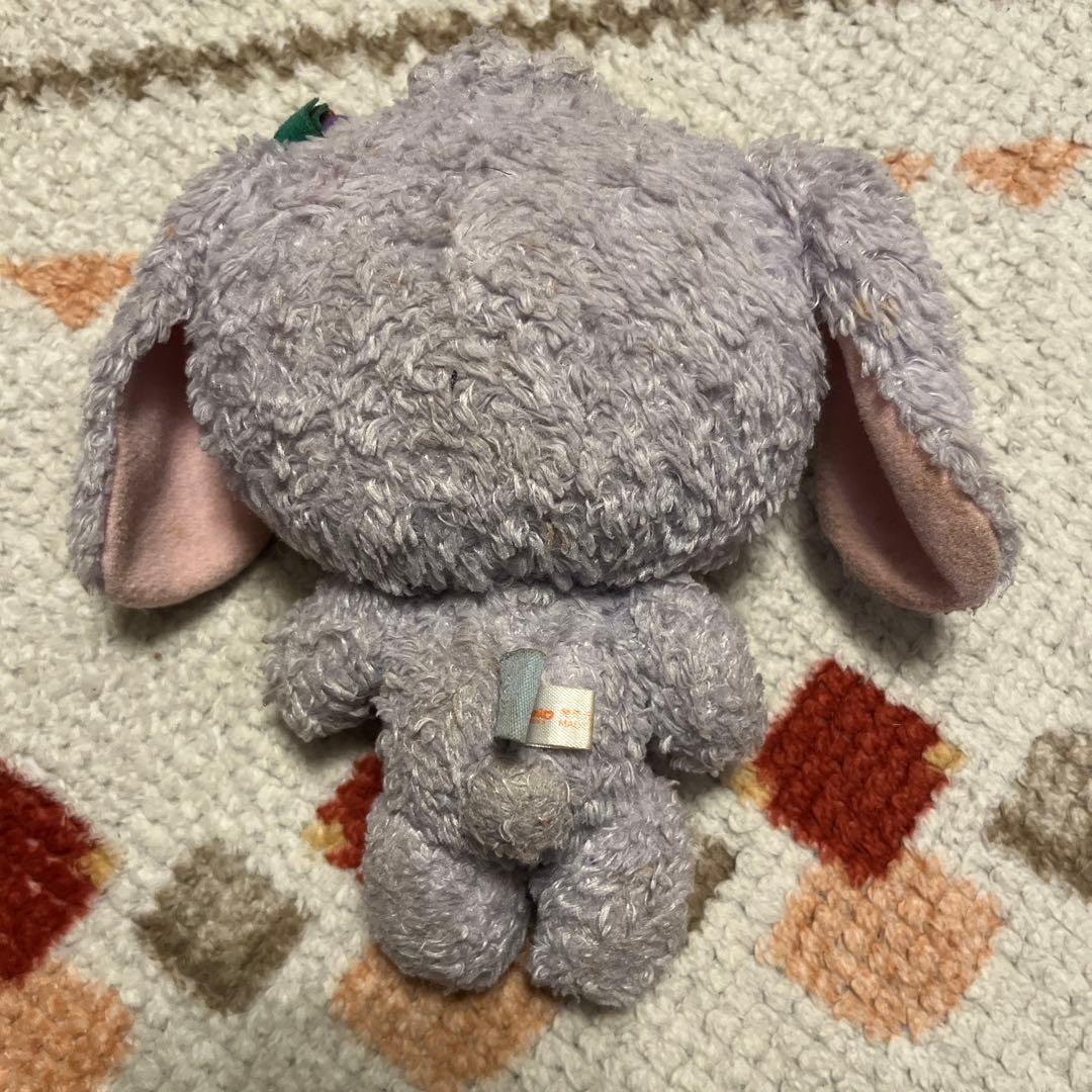 シュガーバーニーズブルーベリーうさ