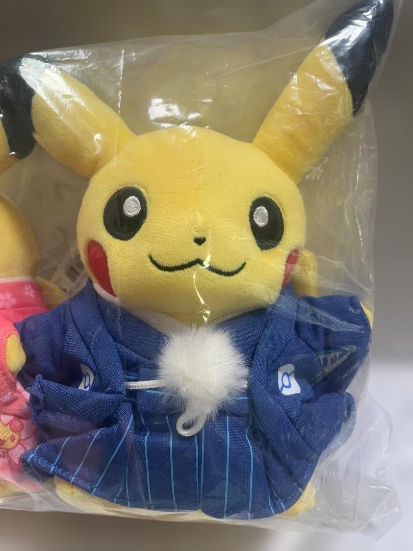 ポケモン マンスリーペアピカチュウ 1月