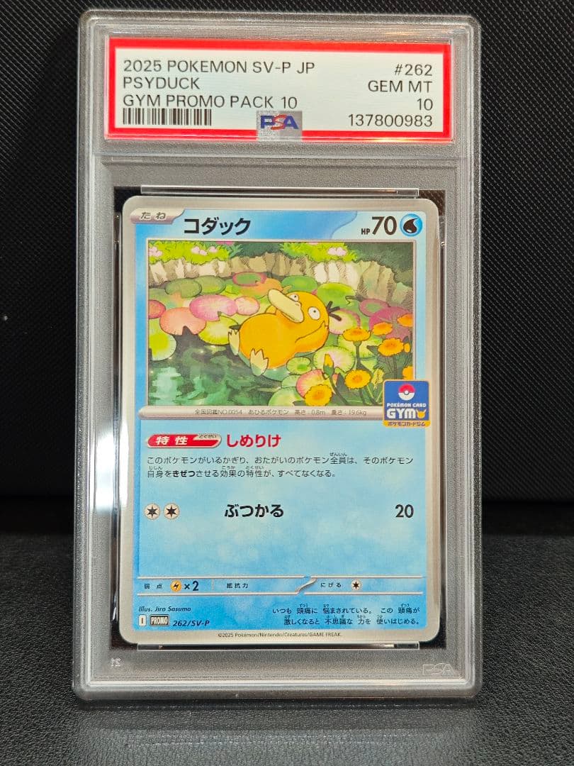 PSA10 コダック ジムプロモ SV-P 262 ポケモンカード - メルカリ