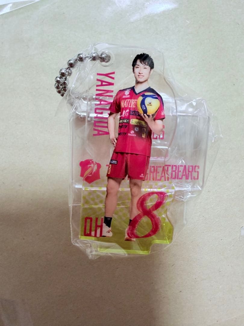 東京グレートベアーズ ベアガチャ 8 柳田 将洋 選手 25-26 会場限定