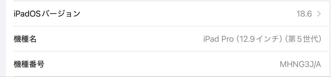 ゆ*う様 Apple iPad Pro 12.9inch 5世代、ケース pen