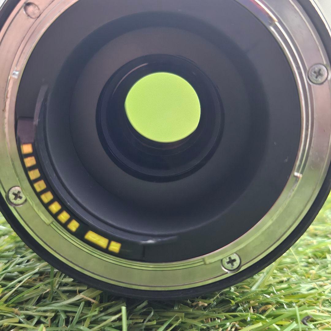 A*i様 TAMRON 100-400mm f4.5-6.3 Di VC USD