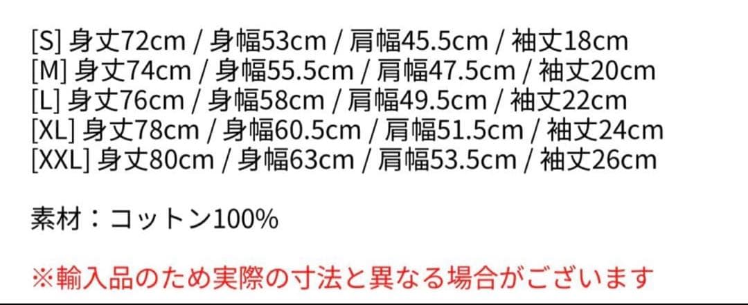 LADY GAGA Tシャツ グレー ツアーグッズ 未使用品