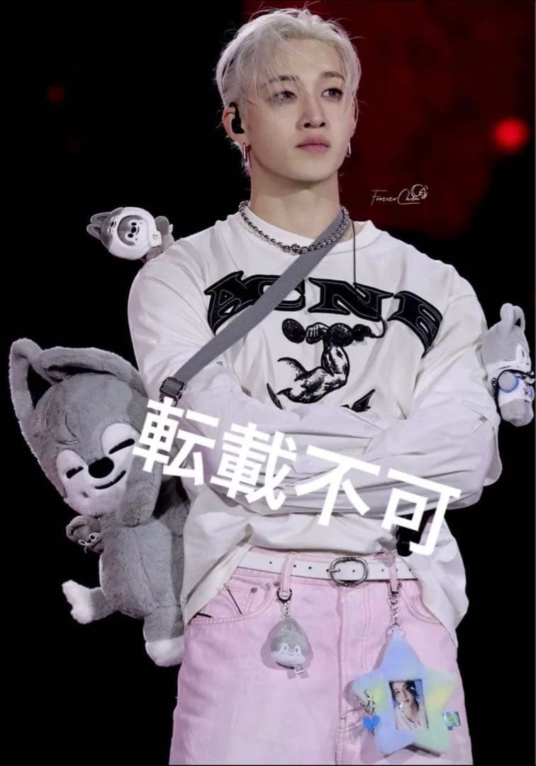 バンチャン plush bag マグネット lying シルバー キーリング - メルカリ