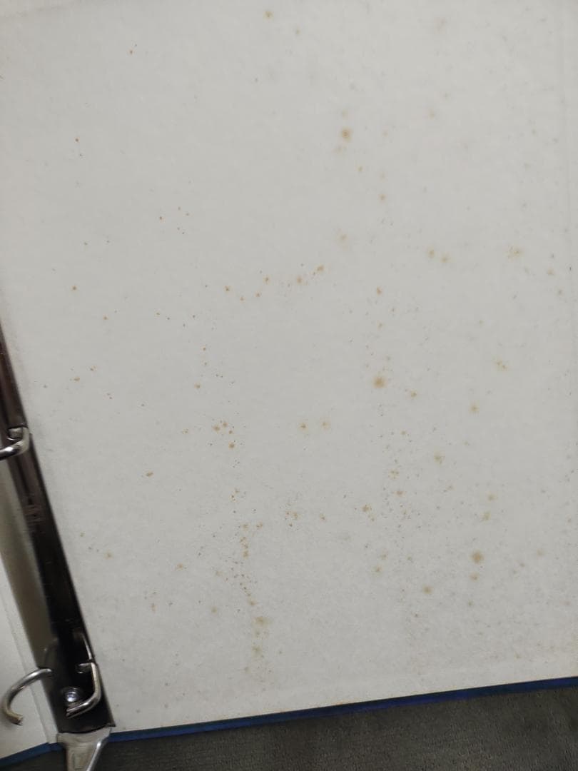 ☆202枚 逮捕しちゃうぞ バインダー＋トレーディングカード まとめ