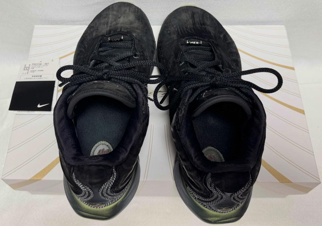 ✨送料込み✨LEBRON 21 Tahitian 10.5 28.5cm