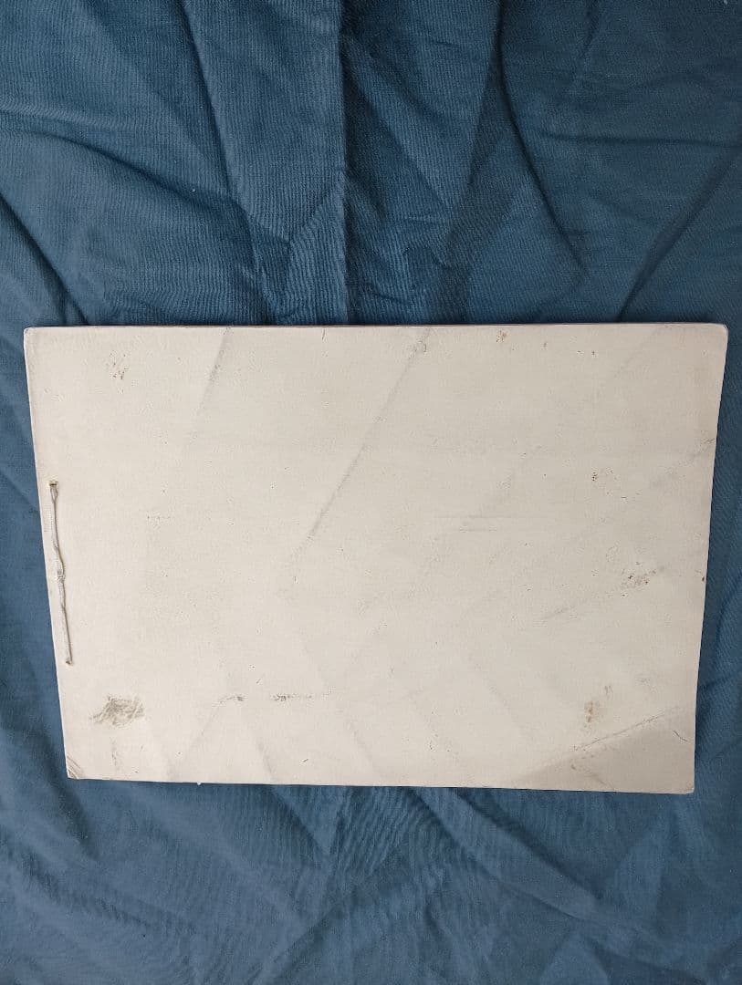 旅順戦跡巡拝記念撮影 旅順要塞司令部許可済写真2頁・集合写真1枚