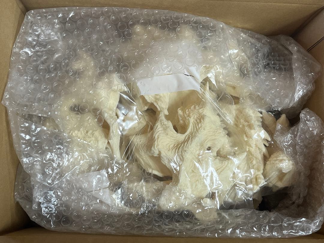 新品 田中ミュージアム工房 アヴァンガメラ 雄々しき守護者 Gミュージアム