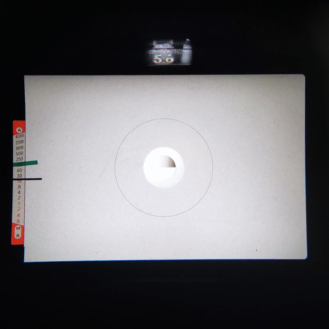 フィルムカメラ Nikon FE2 /Zoom-NIKKOR 35-105mm F3.5-4.5