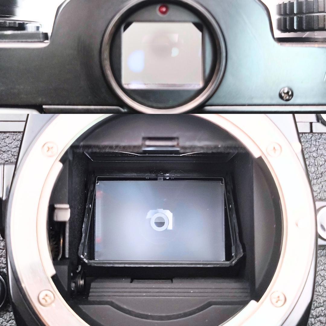 フィルムカメラ Nikon FE2 /Zoom-NIKKOR 35-105mm F3.5-4.5