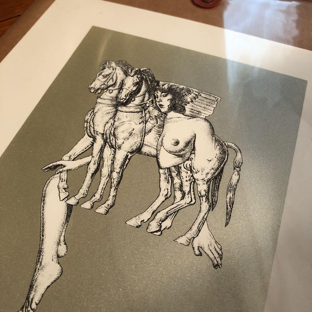 レオ澤鬼　直筆サイン入り　グラフ　ペガサスとヌード