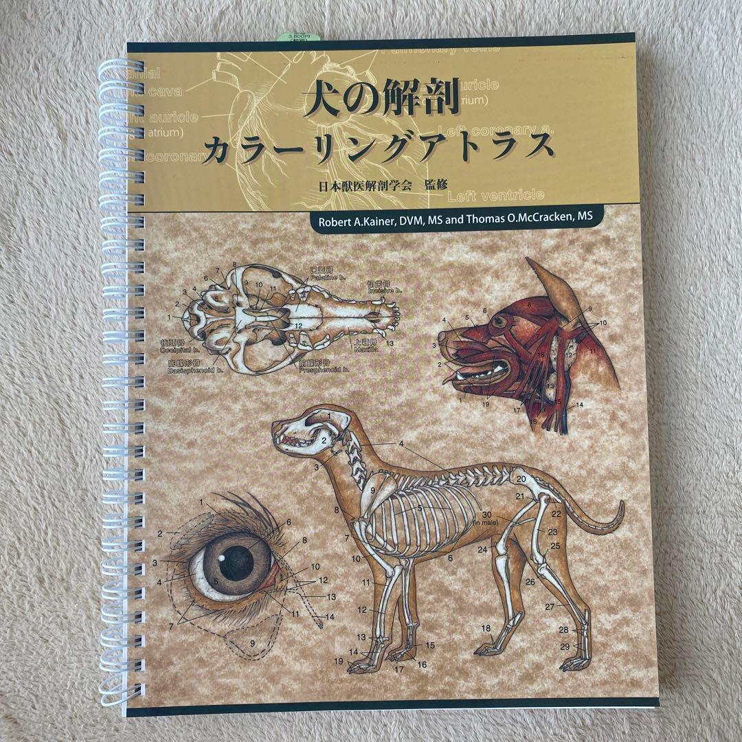 犬の解剖カラーリングアトラス - メルカリ