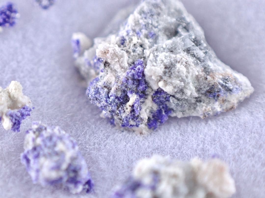 菊花状逸見石(TL) 布賀鉱山