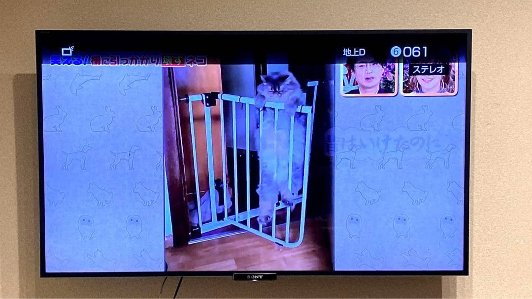 テレビ 4K SONY BRAVIA W900A KDL-55W900A Amazon | ソニー 55V型 液晶 テレビ ブラビア KDL-55W900A フル