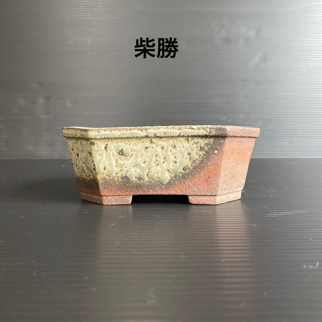 柴勝 小品盆栽 - メルカリ