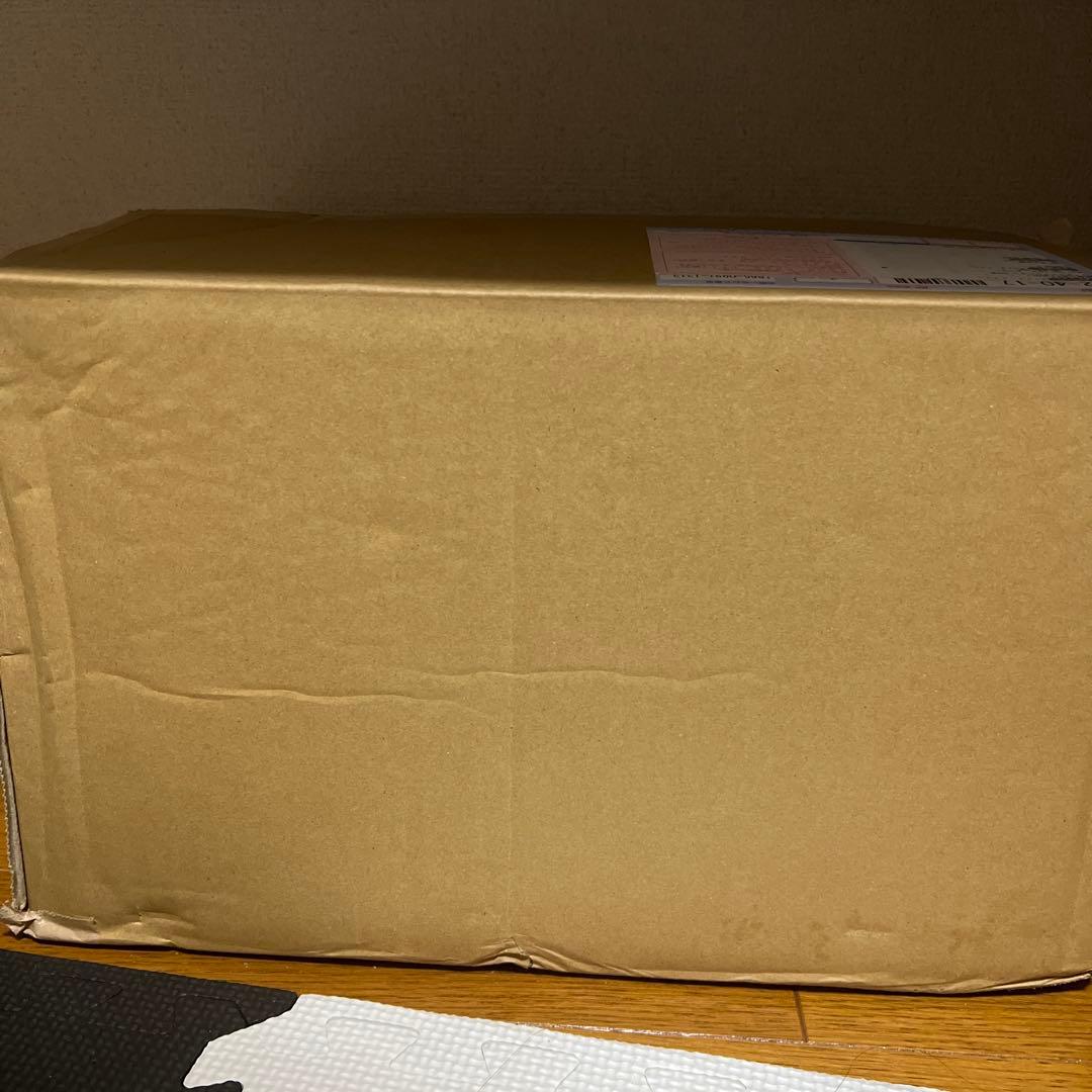 k*u様 ポケモンスケールワールド　メガレックウザ