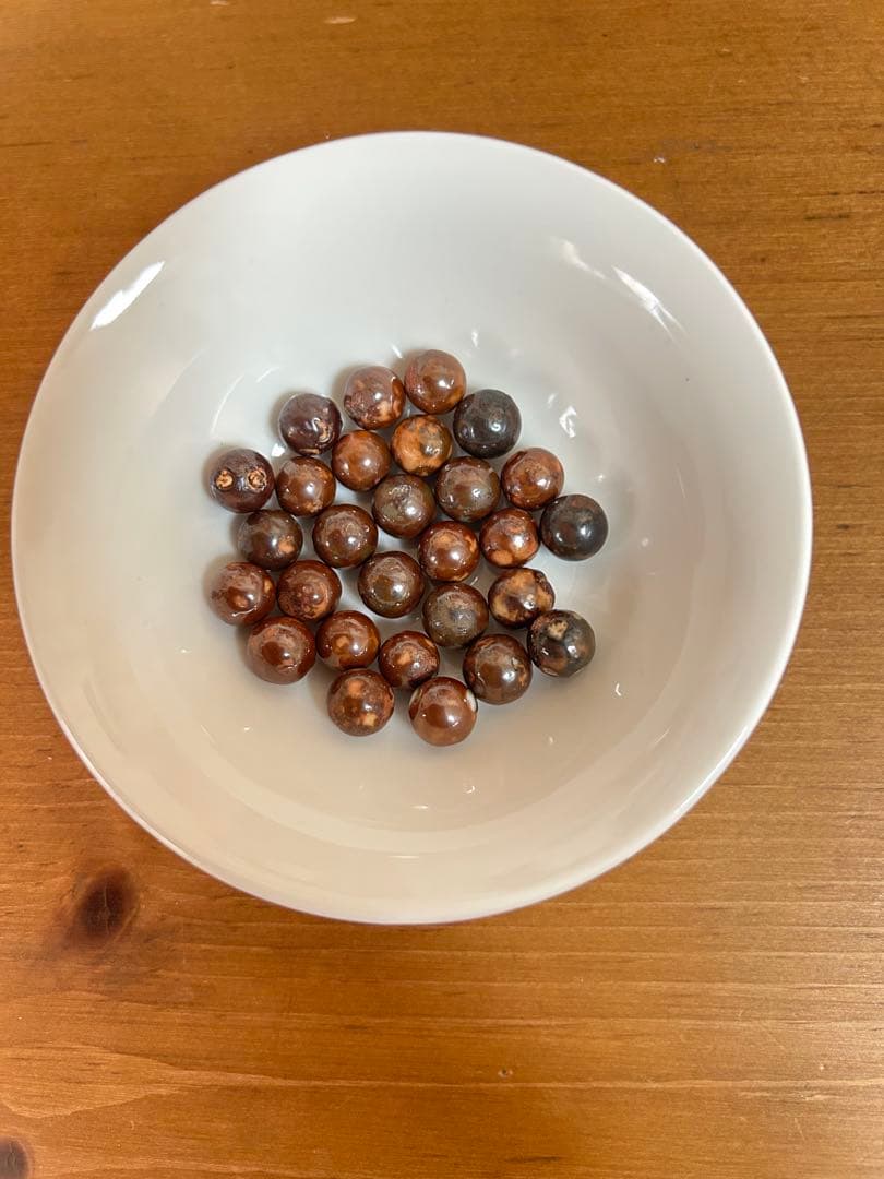 ワールドレップサービスアースクリア空気清浄機 アースボール28個付き