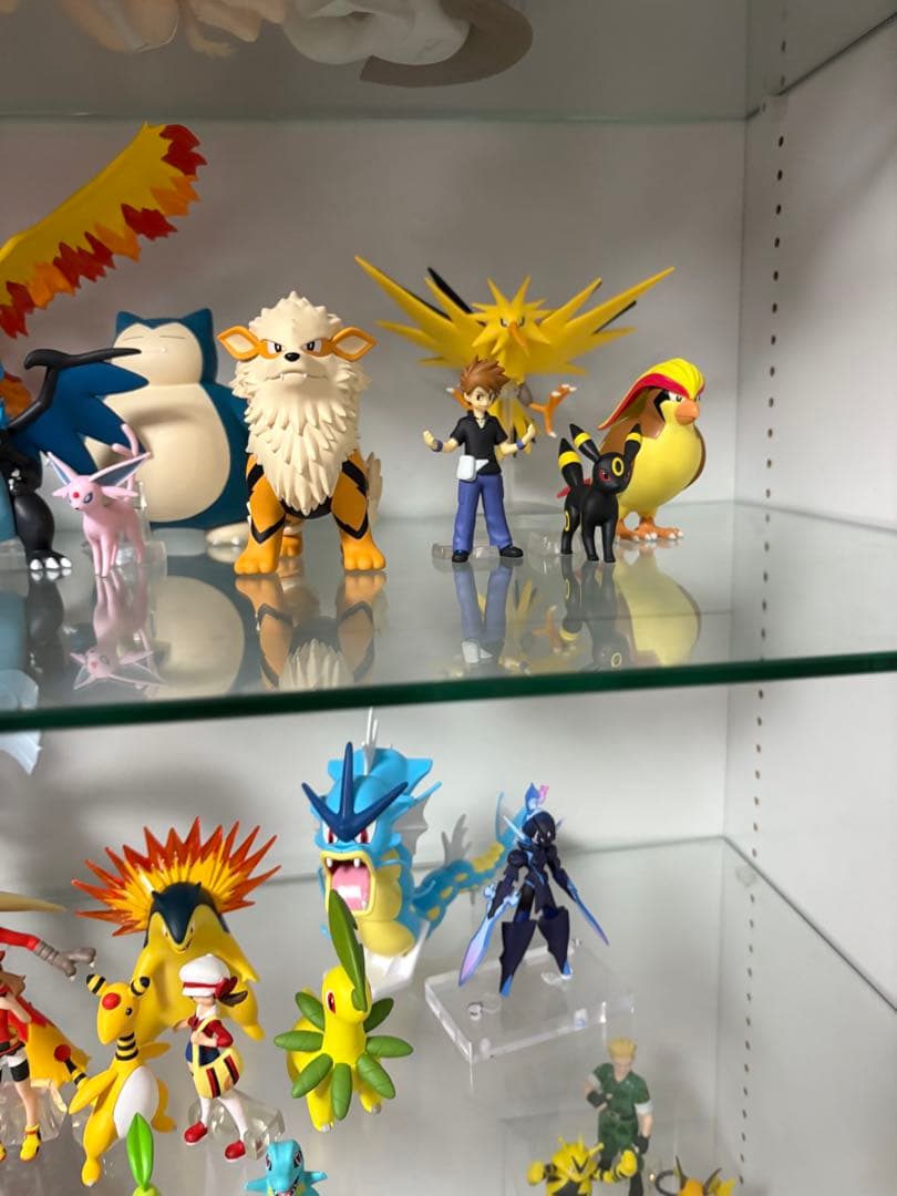 ポケモンスケールワールド ポケプラ まとめ売り