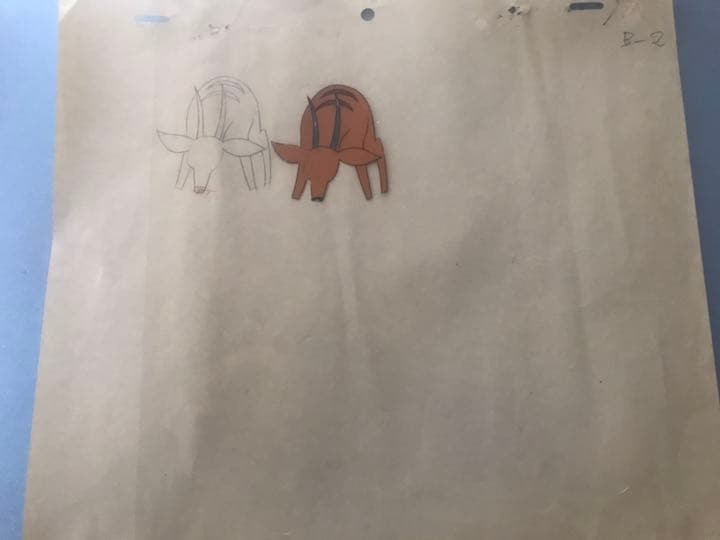 動物セル画