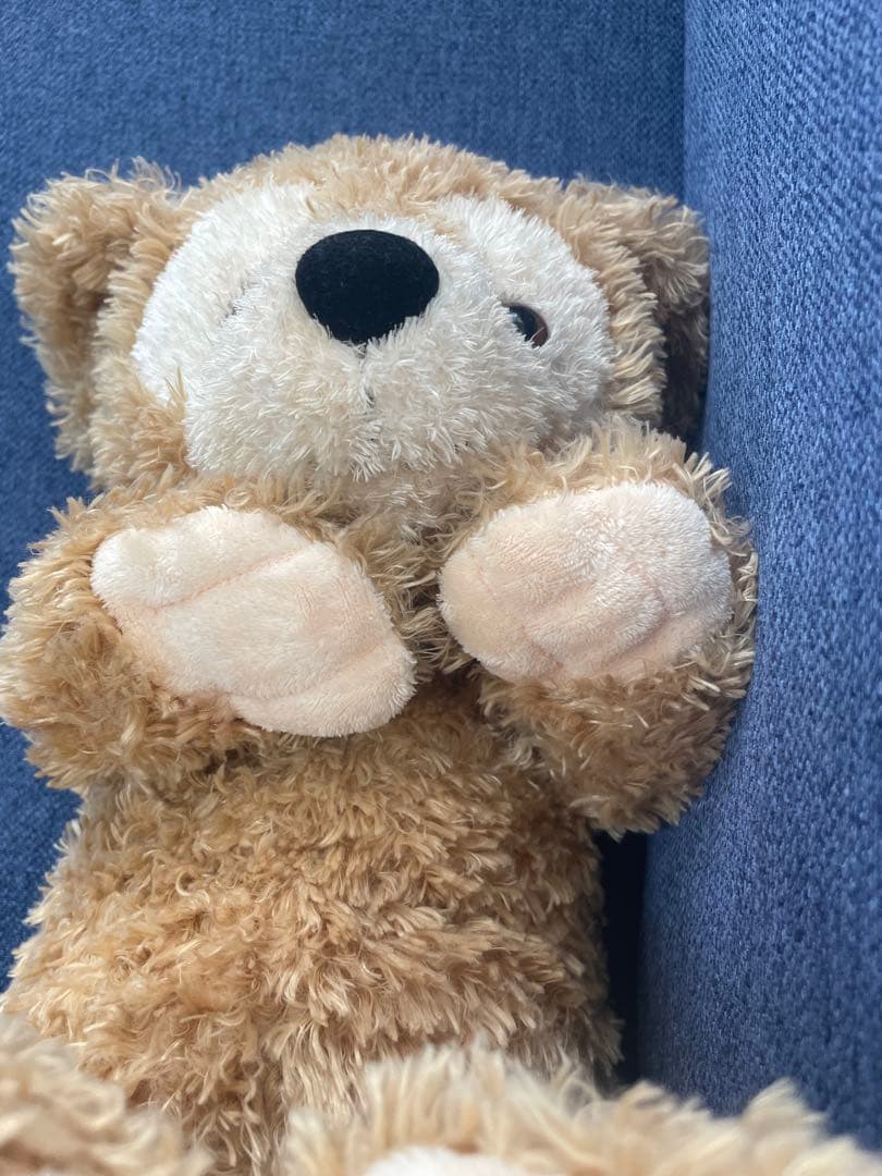 ダッフィー ぬいぐるみ 初期 白タグ トリコロール 冬服