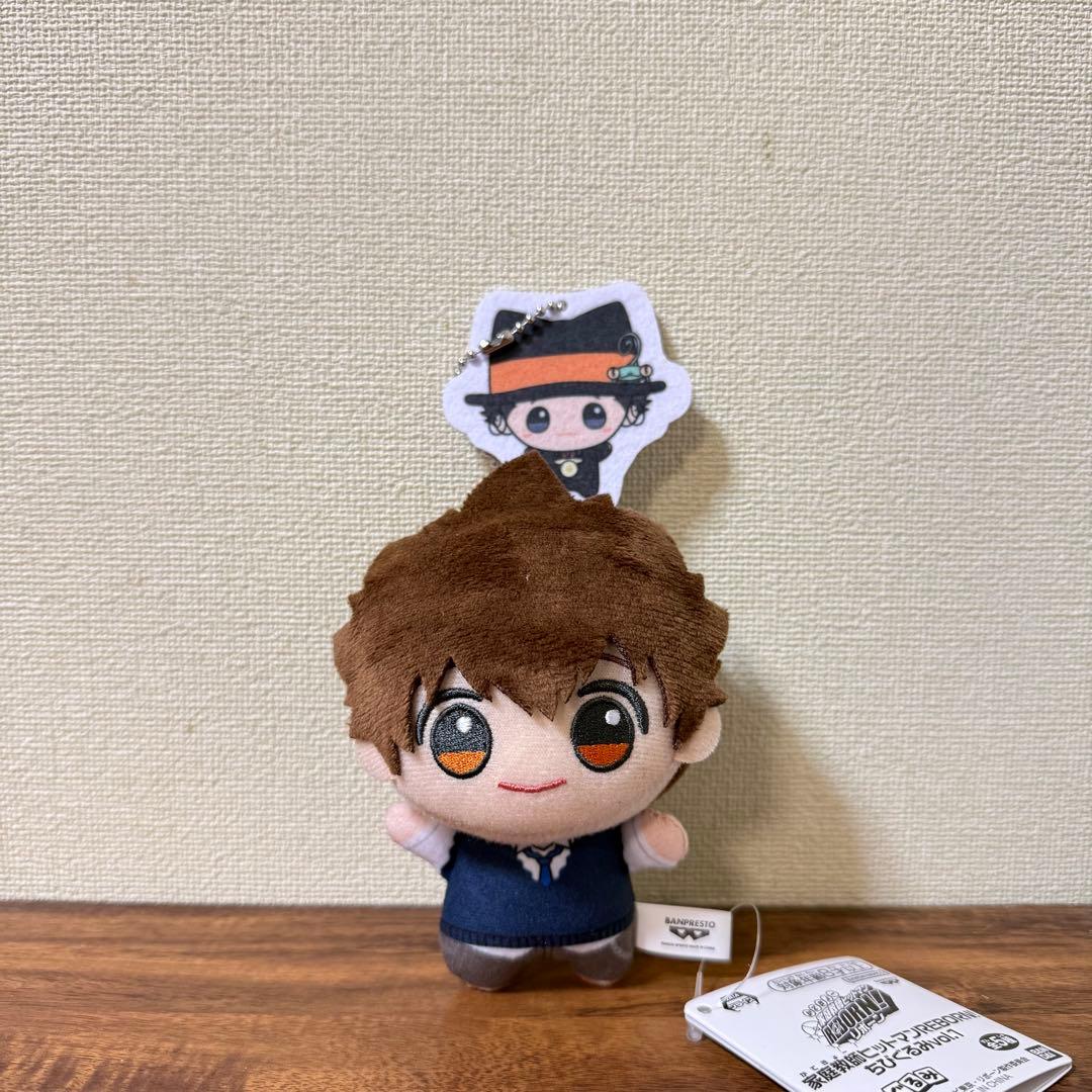 家庭教師ヒットマンREBORN! ちびぐるみvol.1 沢田綱吉 - メルカリ