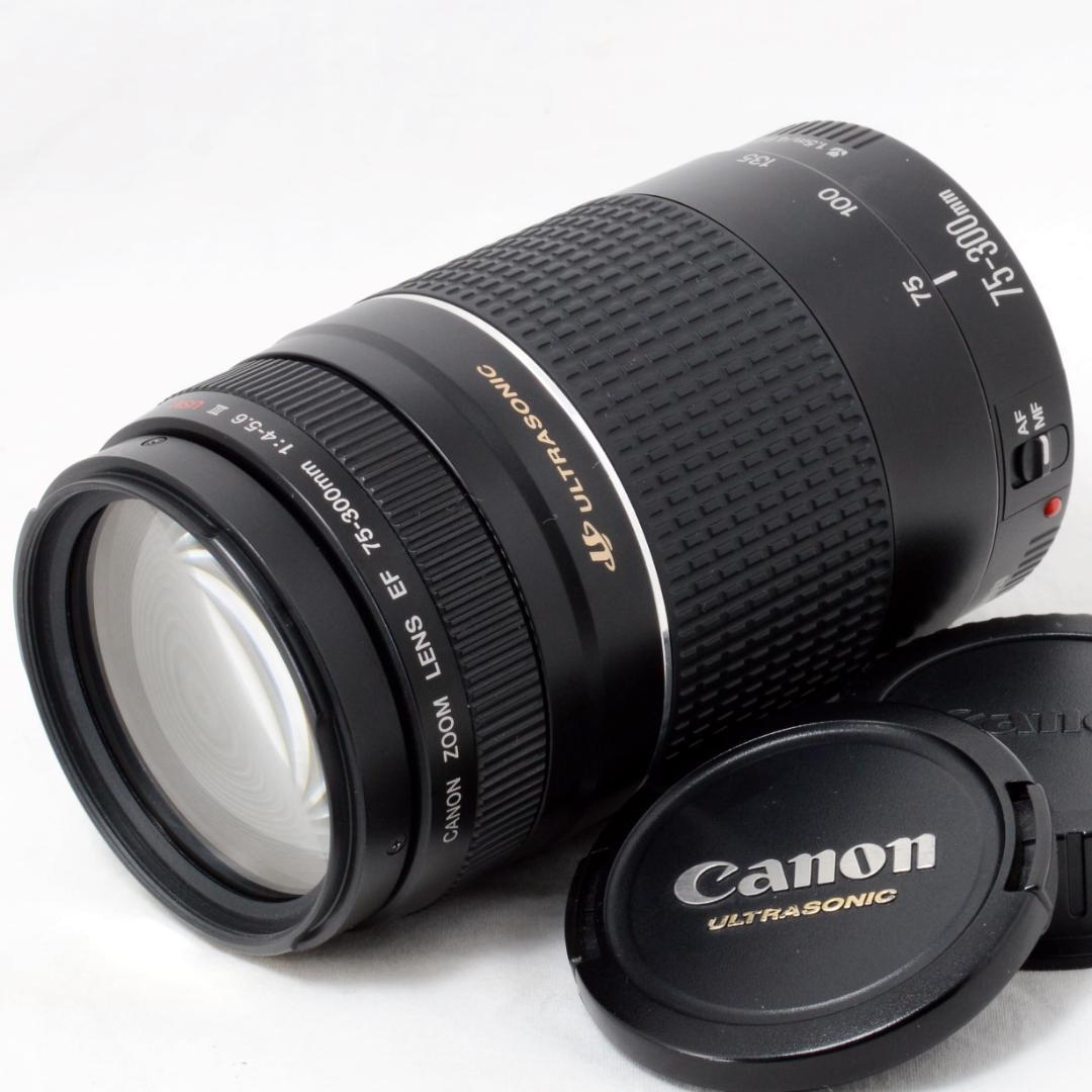 ⭐️実用品⭐️Canon キャノン EF 75-300mm 4-5.6 ⅢUSM Amazon | Canon EF 75-300mm F4-5.6(3)USM | カメラ用交換レンズ 通販