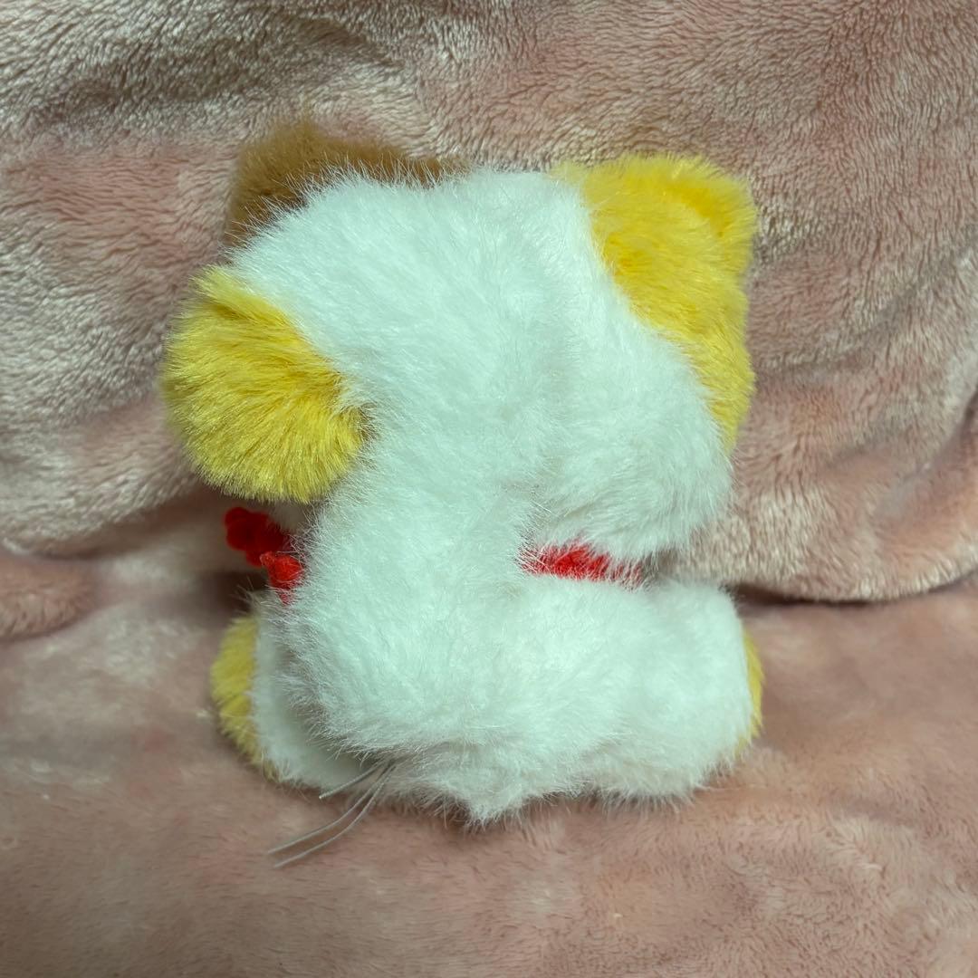 nommi sitting zoo 動物園　シークレット　招き猫　三毛猫