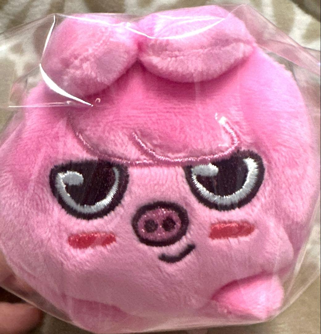 Stray Kids チャンビン ぬいぐるみ SKZOO ツムツム - メルカリ