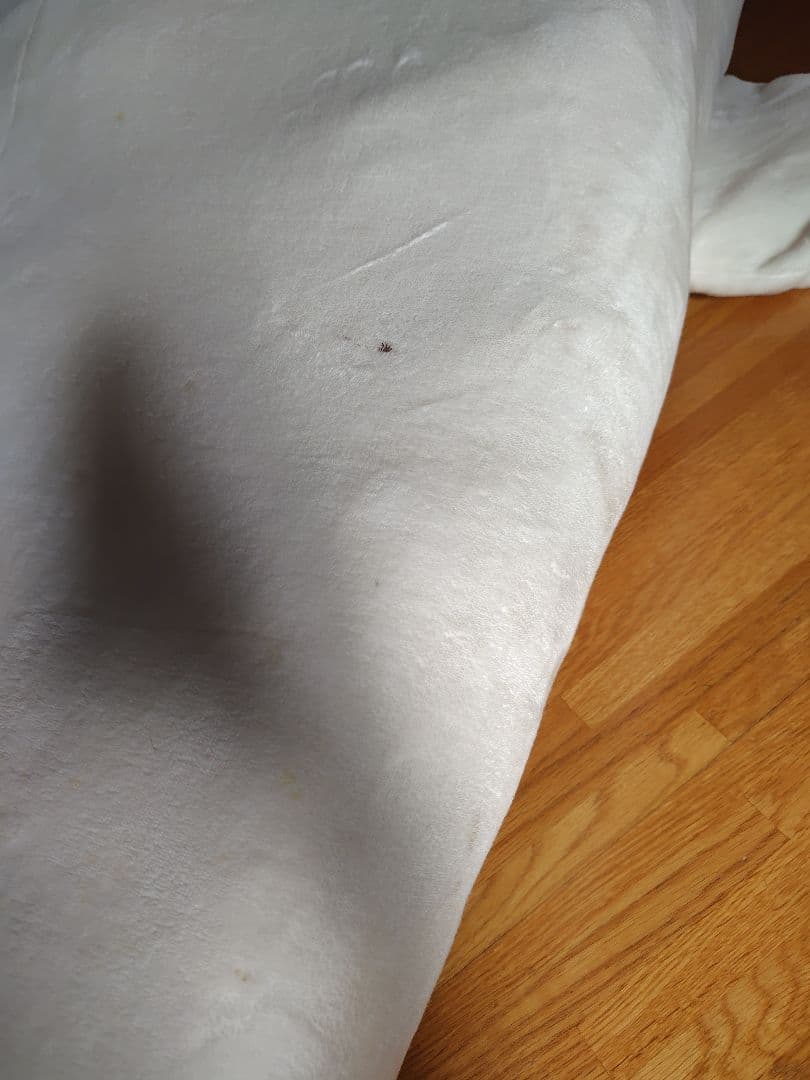 2mたん　しろたん　ぬいぐるみ