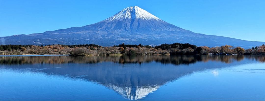 カール様限定。ポケモンカードゲーム MEGA ドリームEX 2箱 - メルカリ