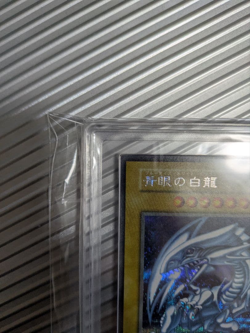 最安値【ARS10+】青眼の白龍 シクブル シークレット 海馬セット 金箔鑑定書