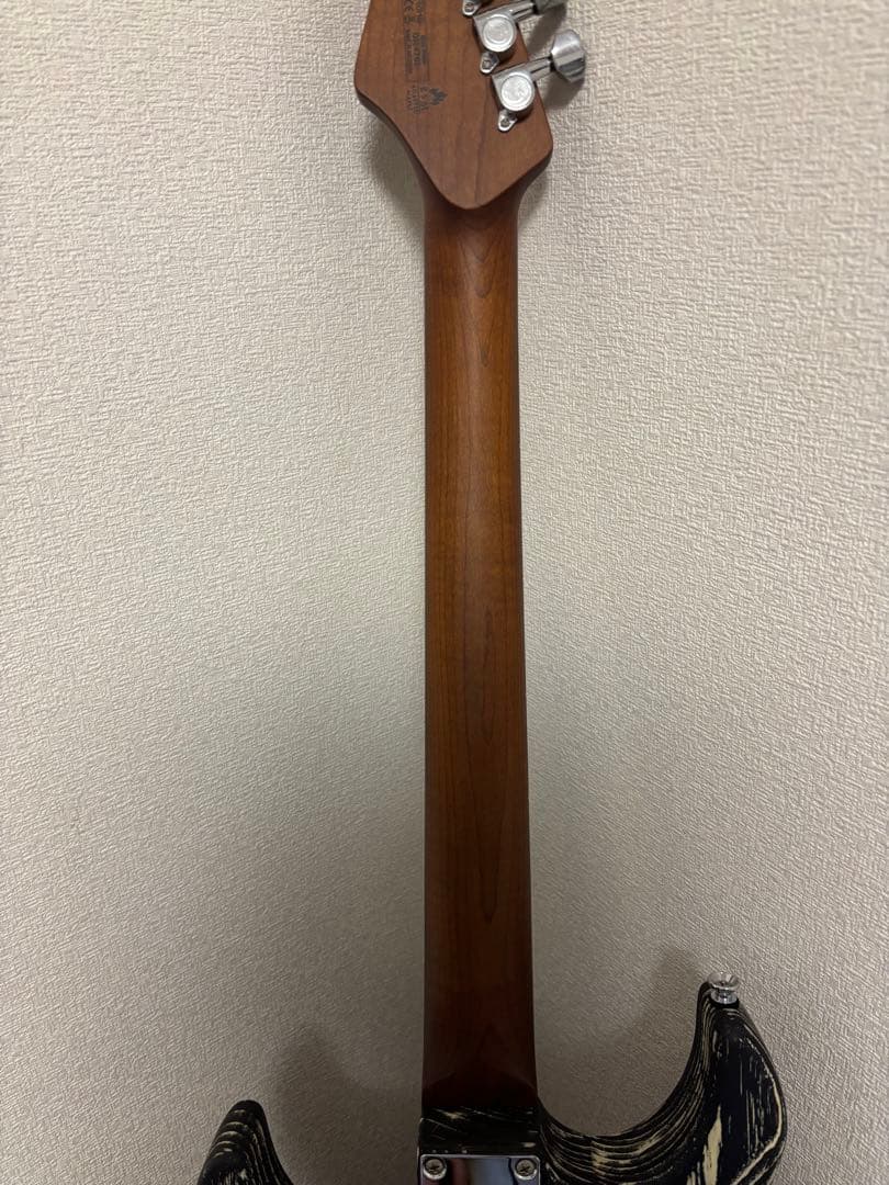 Bacchus SGS‑ASH RSM